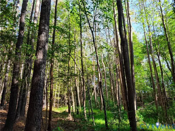 Crewe, VA 23930,6.62 AC Piney Green RD