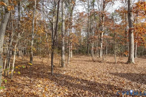 Henrico, VA 23238,0 Creekmore RD