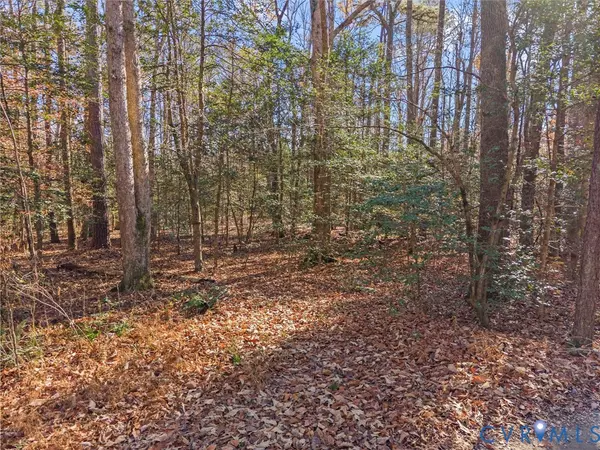 Quinton, VA 23141,58xx Toe Ink TER