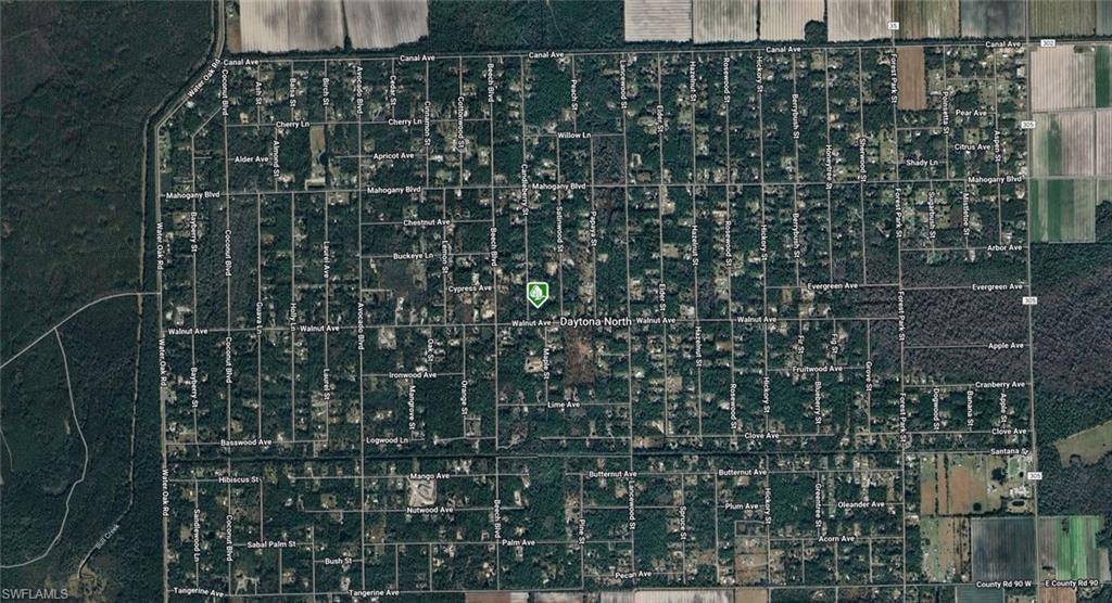 Bunnell, FL 32110,1935 Candleberry ST