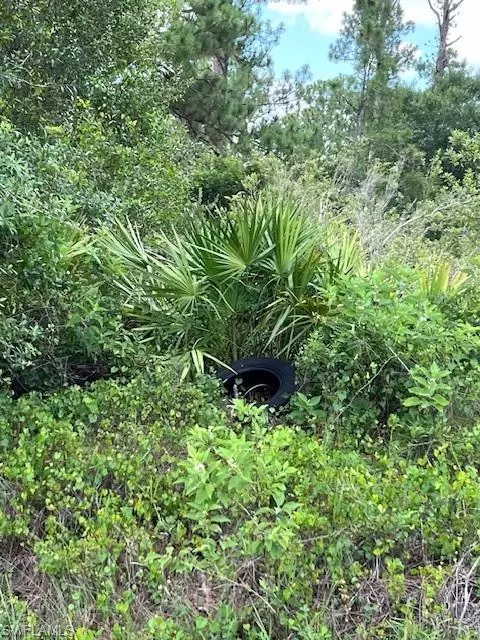 Lehigh Acres, FL 33972,3602 E 11th ST