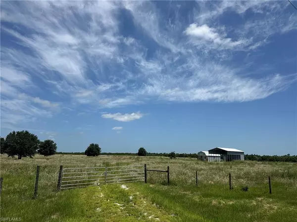 Venus, FL 33960,6000/6030 Farmgirl AVE