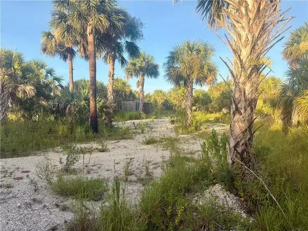 North Port, FL 34288,Fireglow CIR N