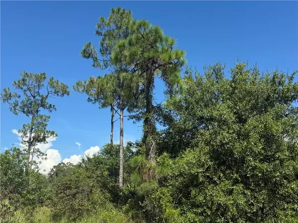 565 S Datil ST, Clewiston, FL 33440