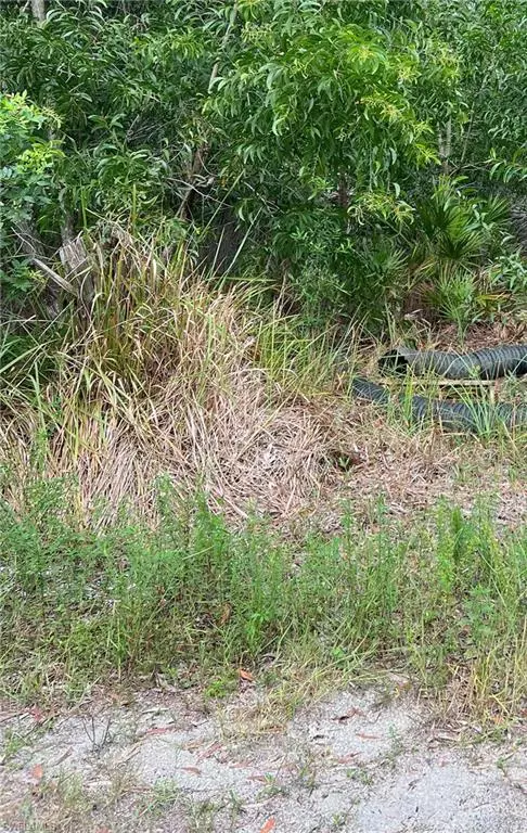 Bokeelia, FL 33922,15514 Martinique WAY