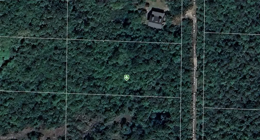 Cocoa, FL 32926,24-35-29-01-11-4 Rattlesnake WAY