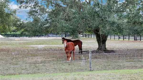 Fort Myers, FL 33913,11751 Shawnee RD