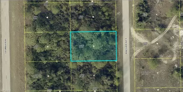 Lehigh Acres, FL 33974,652 Montclair AVE S