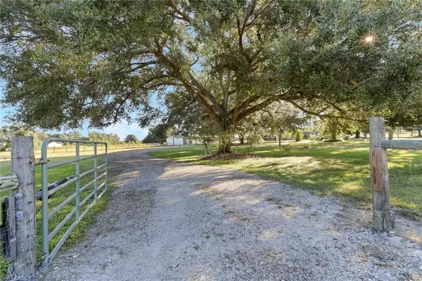 Fort Denaud, FL 33935,953 Niles ST