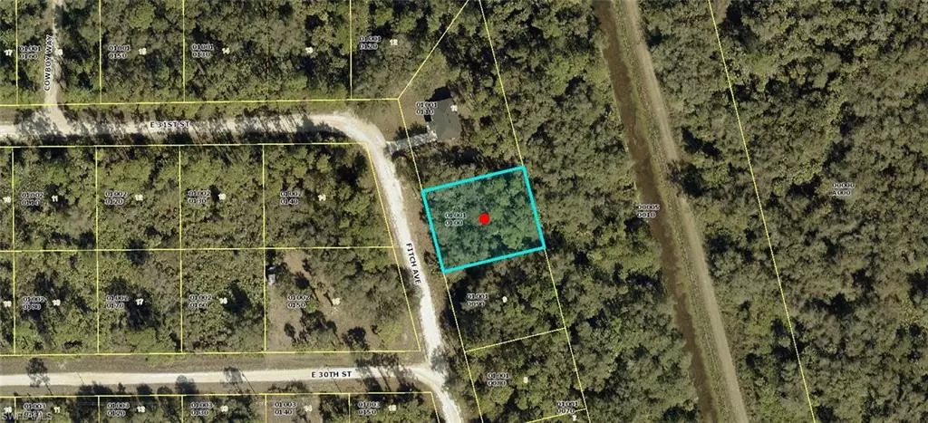 Alva, FL 33920,3002 Fitch AVE