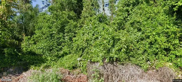 1557 Spring LN, Lake Placid, FL 33852