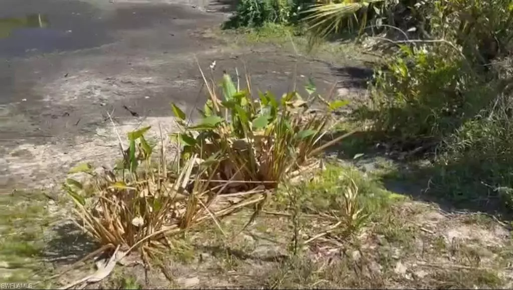 Lehigh Acres, FL 33936,902 Michael AVE