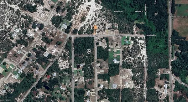 Lake Placid, FL 33852,236 Patton AVE