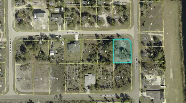 Lehigh Acres, FL 33974,1254 Egbert ST E