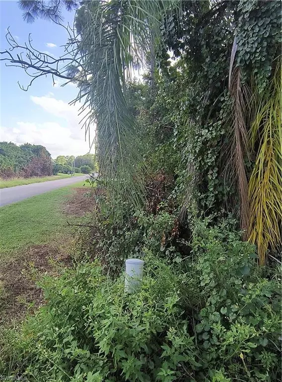 Lehigh Acres, FL 33936,905 Roosevelt AVE