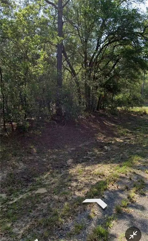 Citrus Springs, FL 34434,509 E Nemo DR