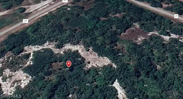 Lake Placid, FL 33852,1181 Ebbtide AVE