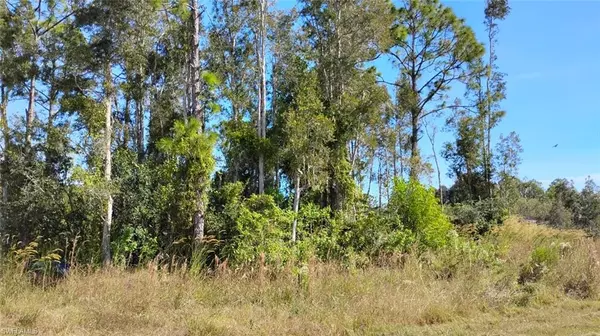 Lehigh Acres, FL 33973,4810 30th ST SW