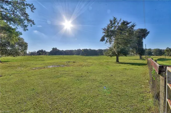 Williston, FL 32696,000 US Hwy 27 N