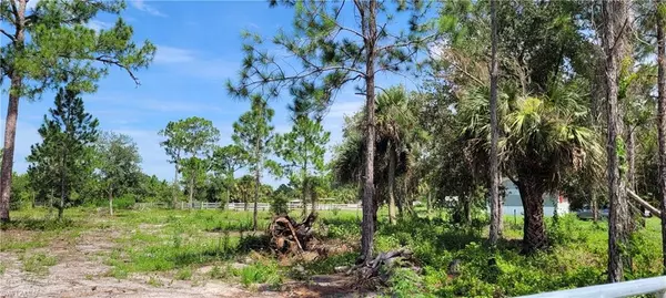 Montura Ranches, FL 33440,445 S Kennel ST