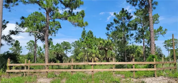 Montura Ranches, FL 33440,445 S Kennel ST