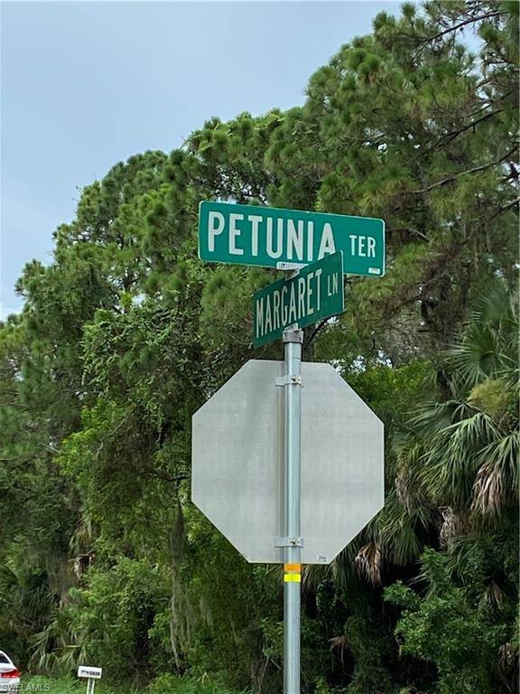 North Port, FL 34286,Petunia TER