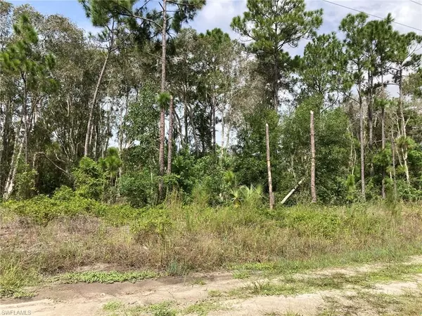 Lehigh Acres, FL 33974,2406 Meadow RD