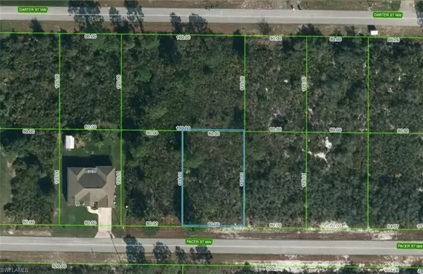 217 Pacer ST NW, Lake Placid, FL 33852