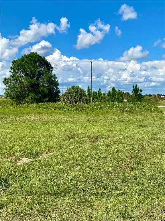 Labelle, FL 33935,7045 Brazil CIR