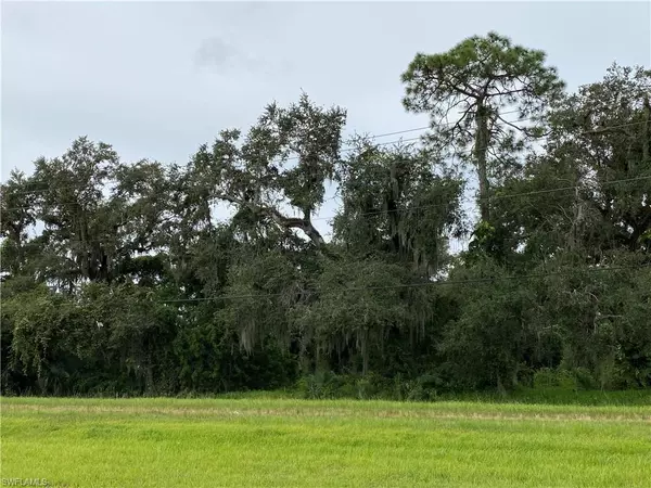 Labelle, FL 33935,N State Rd 29