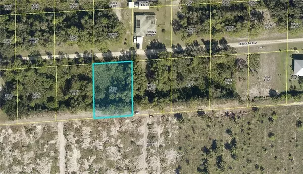 Bokeelia, FL 33922,6335 Cedelia RD