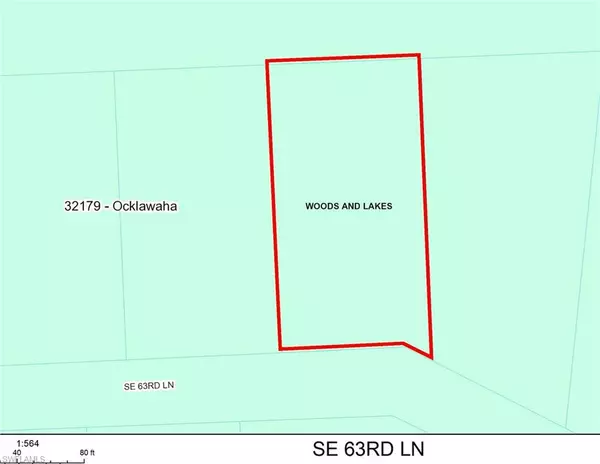 SE 63RD LN, Ocklawaha, FL 32179