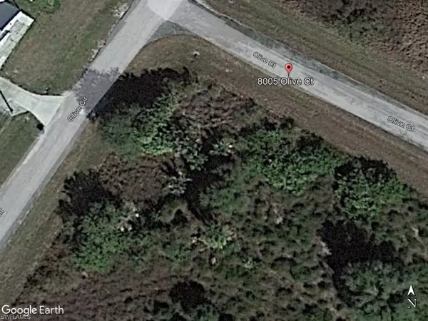 Labelle, FL 33935,8005 Olive CIR