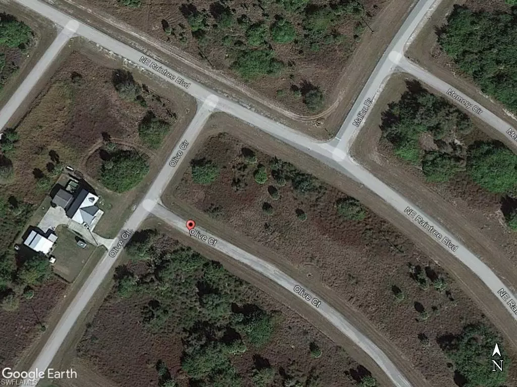 Labelle, FL 33935,8005 Olive CIR