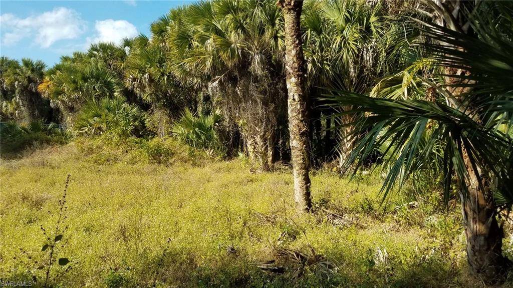 Naples, FL 34117,1975 Everglades BLVD S