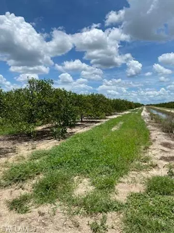 Labelle, FL 33935,Lot 8 7th RD