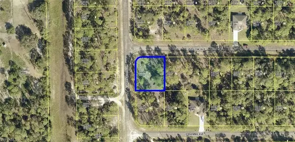 Lehigh Acres, FL 33972,315 Ludlow AVE