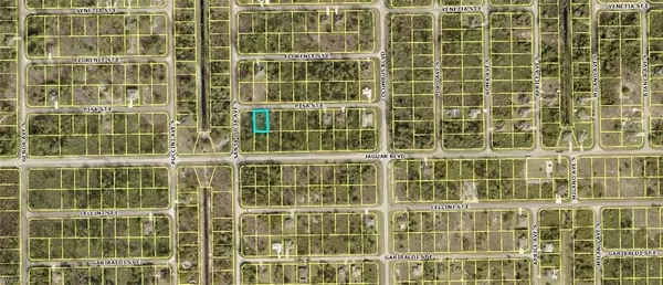 Lehigh Acres, FL 33974,1136 Pisa ST E