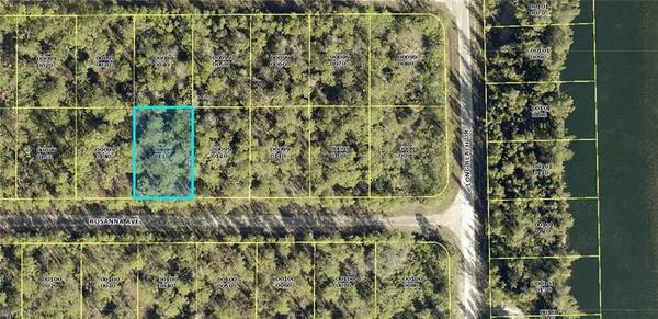 308 Rosanna AVE, Lehigh Acres, FL 33972