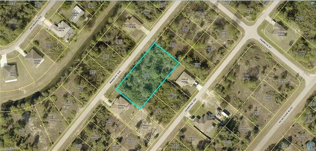 Lehigh Acres, FL 33974,339 Bradley AVE