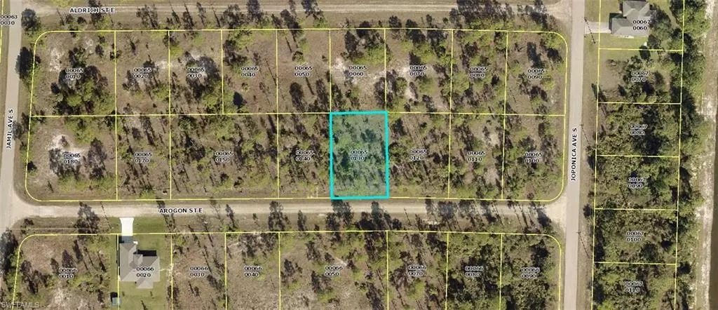 Lehigh Acres, FL 33974,869 Arogon ST E