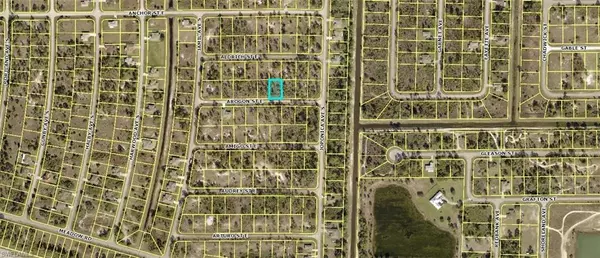 Lehigh Acres, FL 33974,869 Arogon ST E