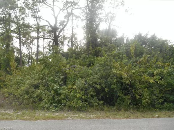 Lehigh Acres, FL 33972,1515 Palmetto AVE