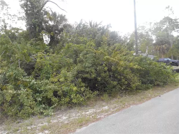 Lehigh Acres, FL 33972,1515 Palmetto AVE