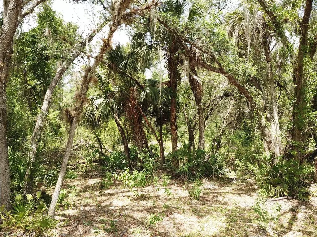 Fort Denaud, FL 33935,5920 Hidden Hammock DR