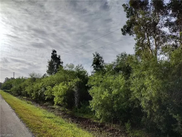 Clewiston, FL 33440,14403 Canopy LN