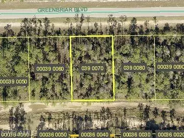 Lehigh Acres, FL 33972,213/215 Greenbriar BLVD