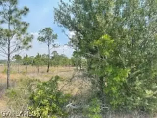 Clewiston, FL 33440,13573 Queen AVE