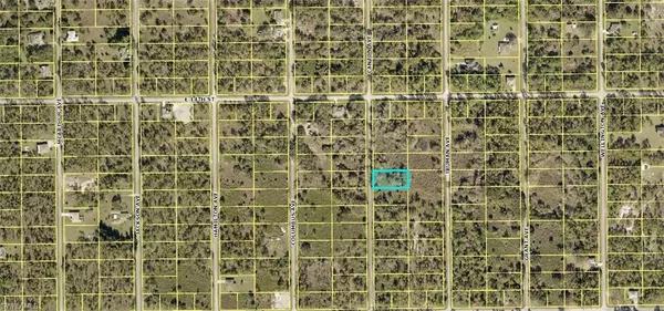 Lehigh Acres, FL 33972,1314 Canton AVE