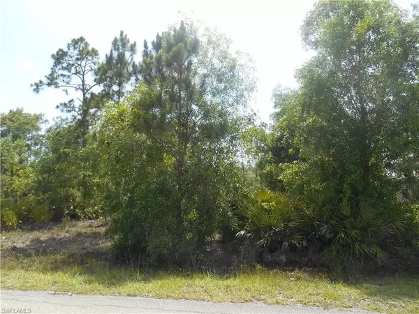 Lehigh Acres, FL 33936,203 Wellington AVE